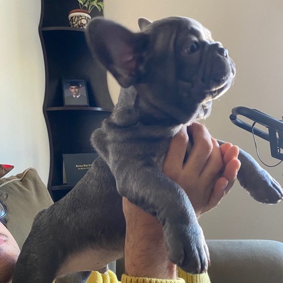 Meet your Posher, Valyntina - Picture 1 of 1